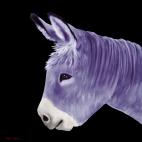 PTIT ANE CHEVAL1 BLEU ROI  Horse Showroom - Inkjet on plexi, limited editions, numbered and signed. Wildlife painting Art and decoration. Click to select an image, organise your own set, order from the painter on line